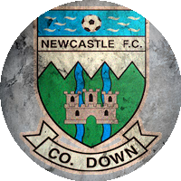 Logo Newcastle (NIR)